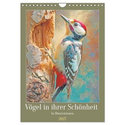 Vögel in ihrer Schönheit - Illustrationen (Wandkalender 2027 DIN A4 hoch), CALVENDO Monatskalender