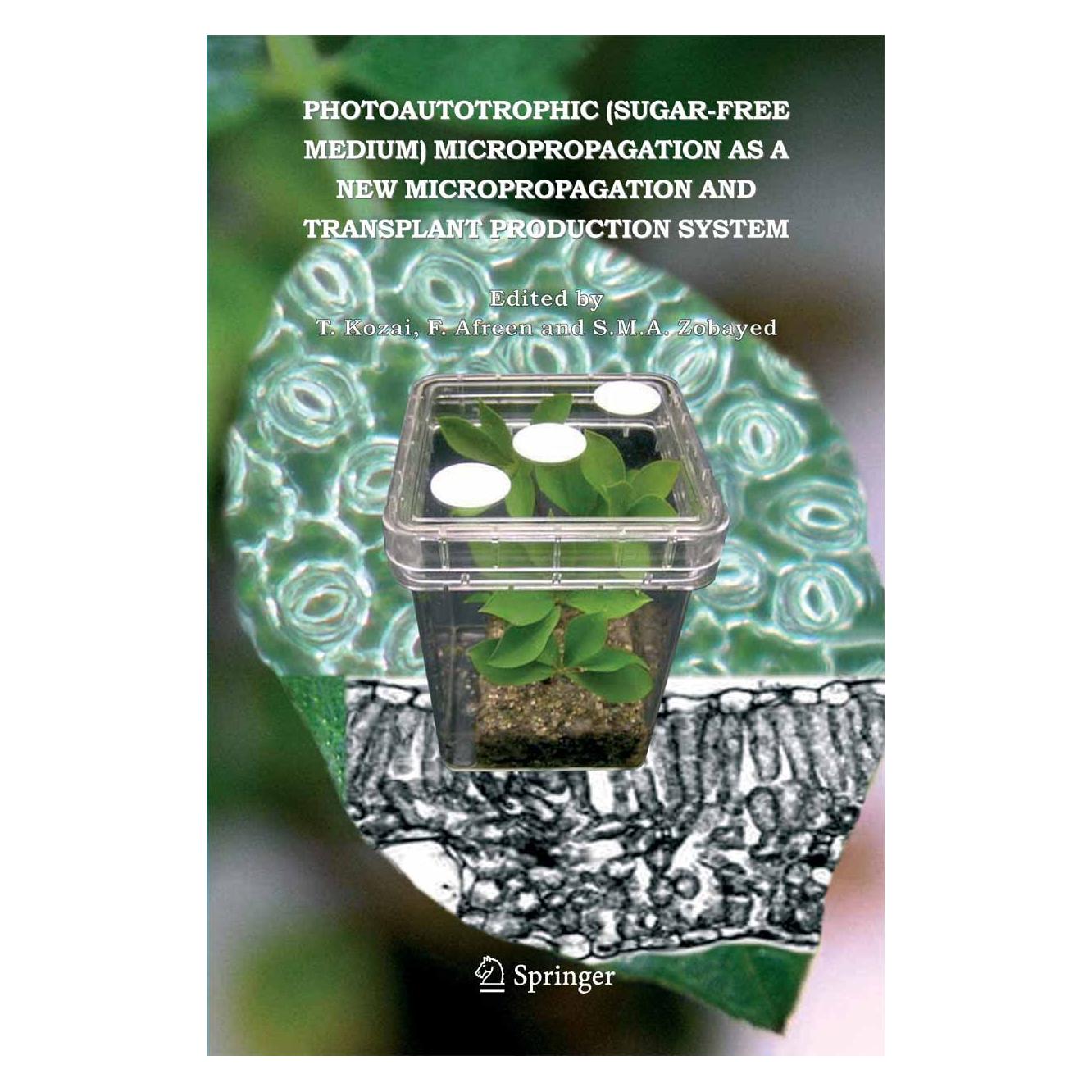 Springer 9781402031250 (Englisch, Hardcover, Afreen, Ff/M A Zobayed, S) (9781402031250)