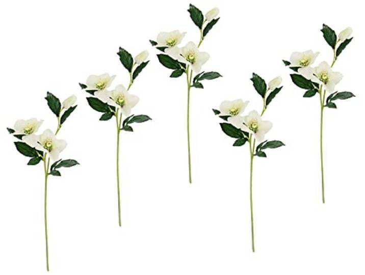 Flair Flower Helleborus Christrosenzweig 5er Set Kunstblume Seidenblumen Floristik Einzelblume Stielblume Einzelzweig Stiel Kunst-Stielblume Dekoblume Blumen Blumendeko,021114CR,Creme,57x12x5 cm