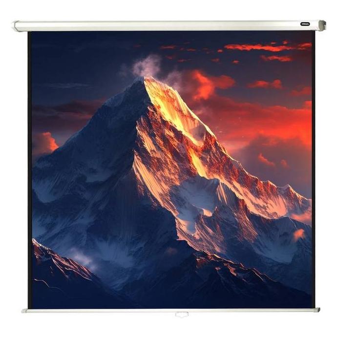 Celexon Rollo-Leinwand Eco (66.93", 1:1) (1090028)