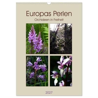 Europas Perlen (Wandkalender 2027 DIN A3 hoch), CALVENDO Monatskalender