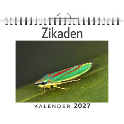 Zikaden