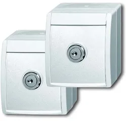 Busch-Jaeger Steckdose 20/20 EWSL-54 2CKA002083A0836