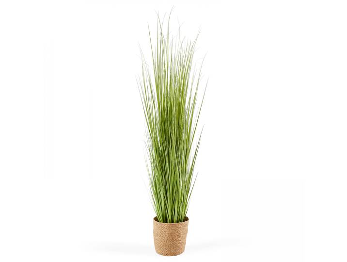 Oviala - Miscanthus artificiel en pot hauteur 185 cm