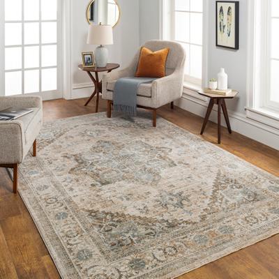 Livabliss Artistic Weavers Remyr Vintage Distressed Area Rug