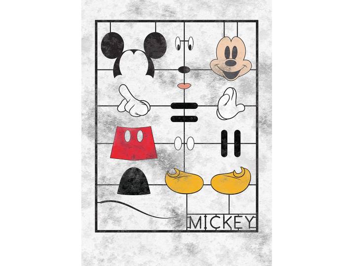 FOTOTAPETE MICKEY KIT