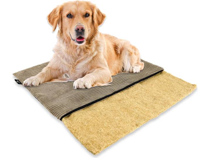 mümmi Hundebett HANF - geruchsbindend Allergikerfreundlich Hundekissen Cord-Bezug waschbar bei 60° Hundematte eckig rutschfest Hundedecke , Hundematratze Germany, Farbe:taupe, Größe:Größe 1