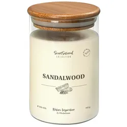 Wiedemann Kerzen Duftkerze im Glas "Sandalwood" 345g, 1 Stück
