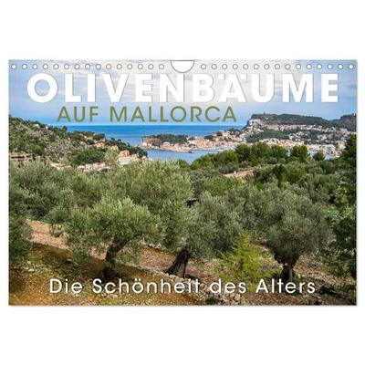 Olivenbäume auf Mallorca - Die Schönheit des Alters (Wandkalender 2027 DIN A4 quer), CALVENDO Monatskalender