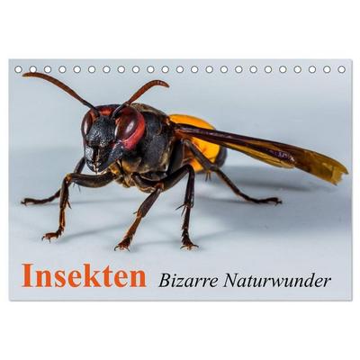 Insekten • Bizarre Naturwunder (Tischkalender 2026 DIN A5 quer), CALVENDO Monatskalender