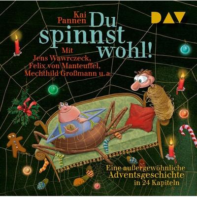 Du spinnst wohl! Eine außergewöhnliche Adventsgeschichte in 24 Kapiteln - Kai Pannen, CD, 9783742433824