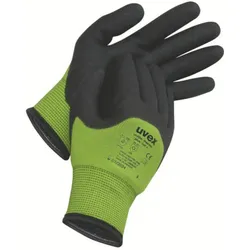 uvex unilite thermo plus cut c Kälteschutz- und Schnittschutzhandschuh  grün/schwarz 7 - 6059107 - grün/schwarz