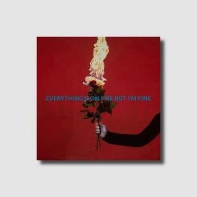 Everything's On Fire But I'm Fine - As December Falls, CD