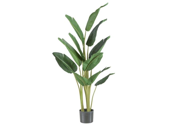 Kunstpflanzen Traveller Palme H: 150 cm Gasper