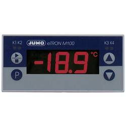 Jumo 00536164 Microstat
