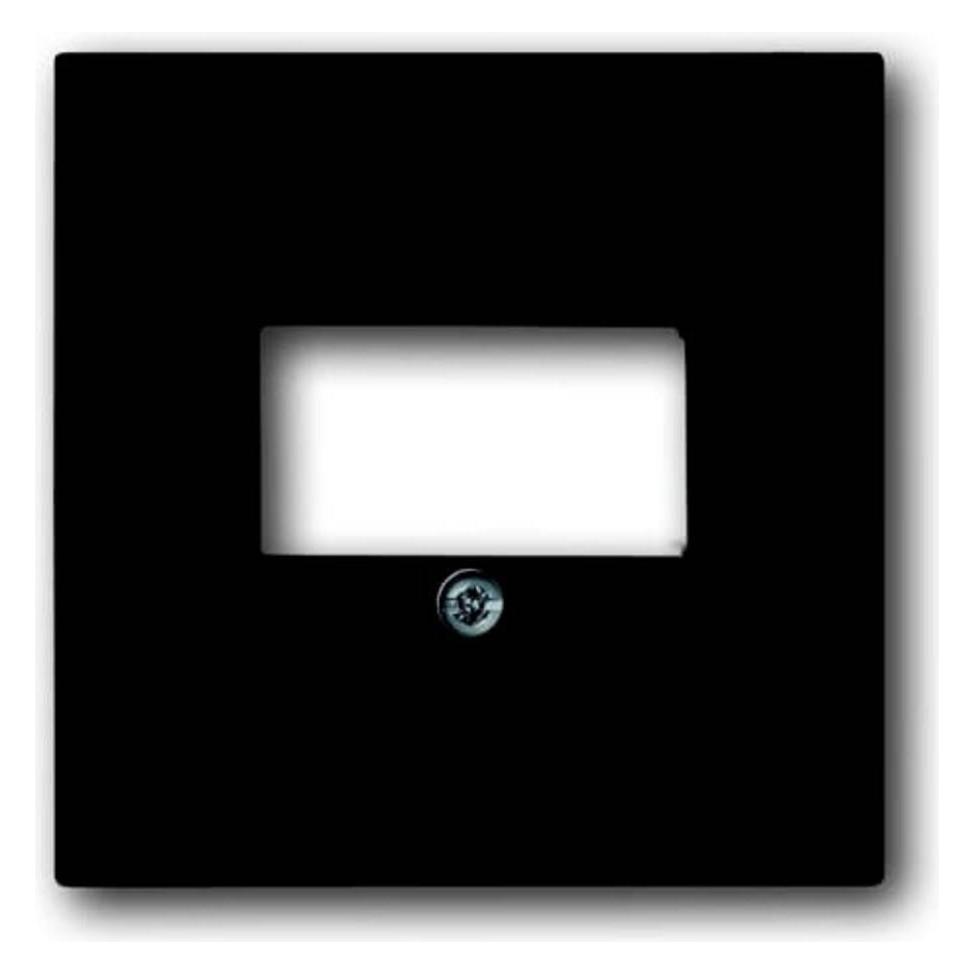 Busch-Jaeger Zentralscheibe (2CKA001710A3613)