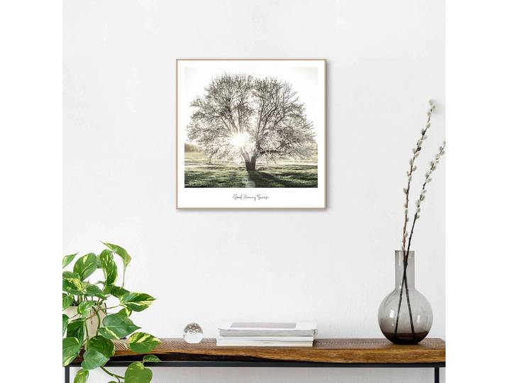 Tableau déco Arbre Impression dans cadre en bois Vert 50 x 50 x 1cm