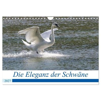 Die Eleganz der Schwäne (Wandkalender 2027 DIN A4 quer), CALVENDO Monatskalender