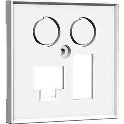 homeway Zentralplatte 55x55mm rws TV+LAN/TAE 55x55