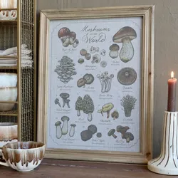 Chic Antique Wandbild Pilzmotiv mit Naturholz-Rahmen 33x43 cm, 33 x 2 x 43 cm - Naturholz