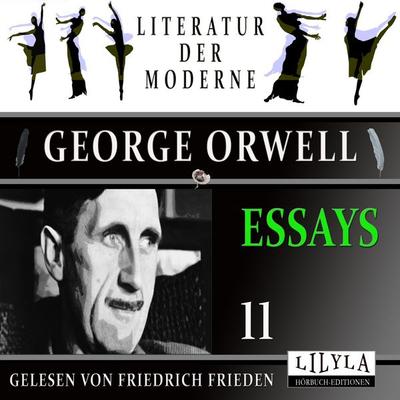 Essays 11 - George Orwell, Audio, 9783988526137