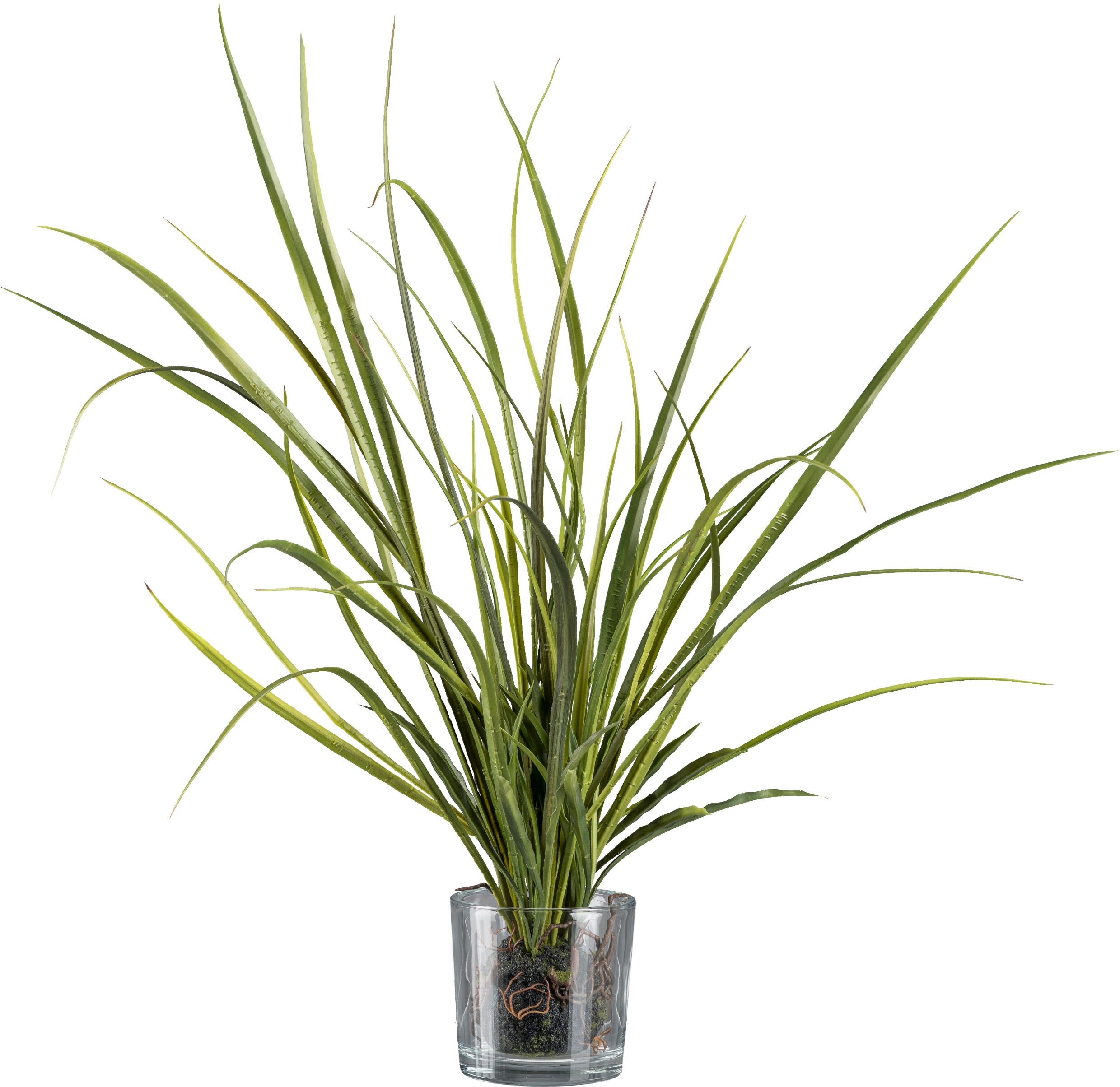 Kunstgras CREATIV GREEN "Wiesengras im Ballen und mit Glas", grün, H:70cm, Obermaterial: 100% Polyethylen, Kunstpflanzen, Kunstgras