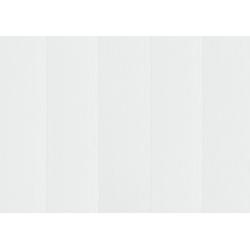 ter Hürne Decor Edition Dekorpaneel strukturiert Paneel Softprofil UniqueDesign Esche kristallweiß 2600x250x12 mm