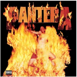 Atlantic, Schallplatten, Reinventing The Steel (Colv) (Ylw) (Pantera)