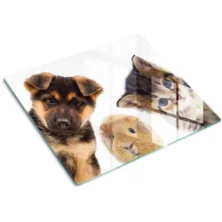 GLASPLATTE 60x52 cm Haustiere