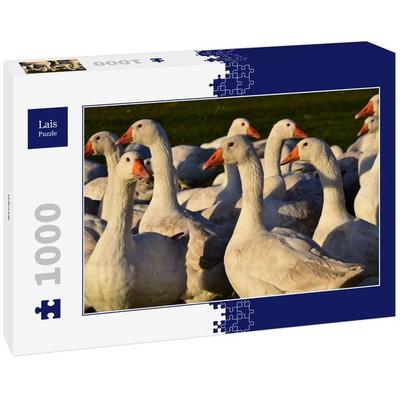 Lais Puzzle Gänse 1000 Teile