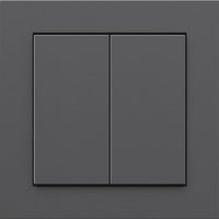 Friends of Hue Smart Switch, Taster anthrazit