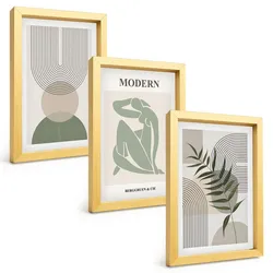 BILDER SET 3er Set - 20x30 cm Goldrahmen - Stilvolle Pflanzengrafiken