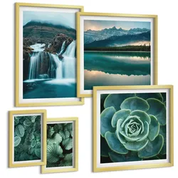 BILDER SET 5er Set - 50x50 cm & 20x30 cm & 40x60 cm Goldrahmen - Sukkulenten in Grün und Türkis