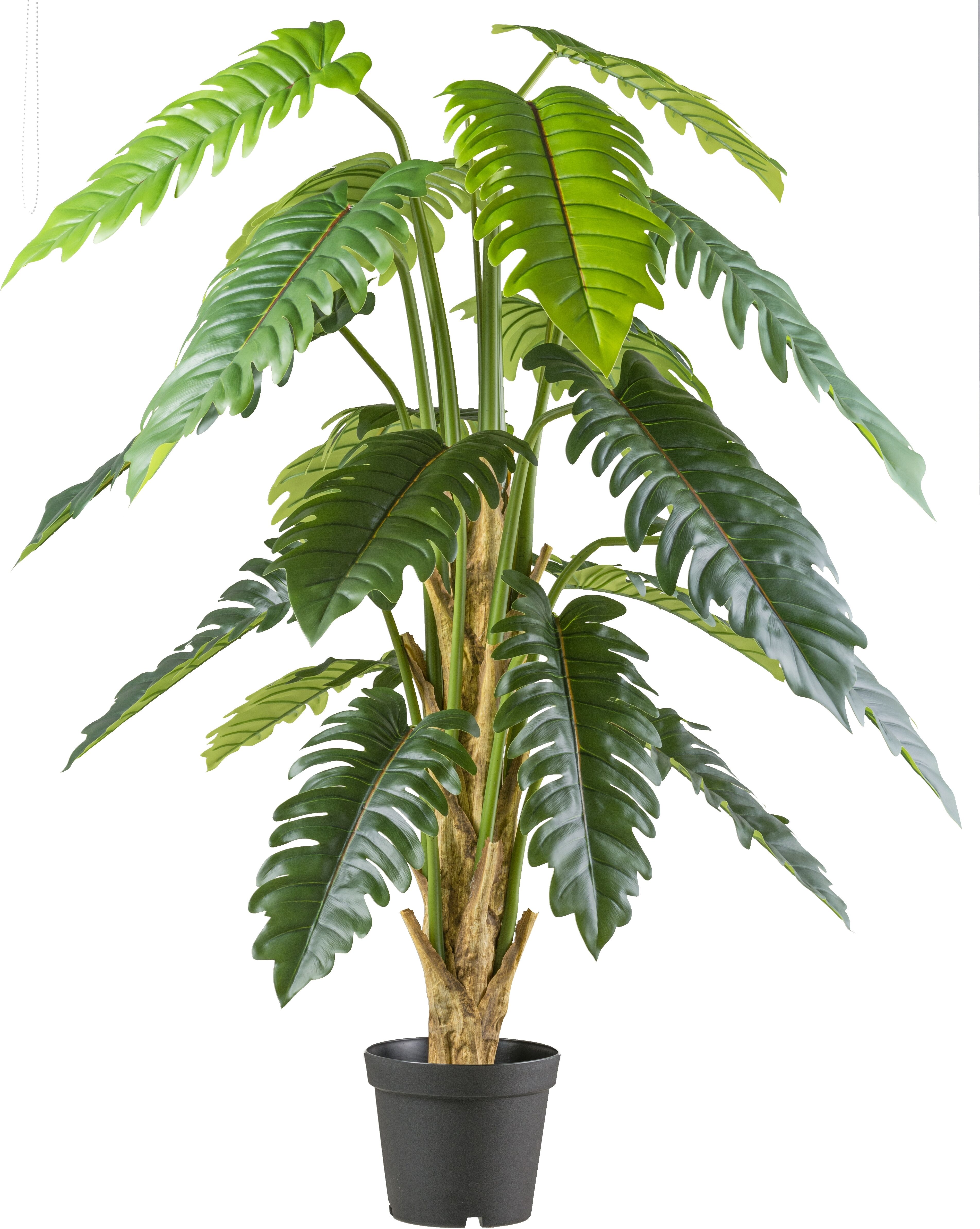 Kunstbaum CREATIV GREEN "Philodendron xanadu", grün, H:195cm, Kunststoff, Kunstpflanzen, Kunstbaum, mit großformatigem Blattwerk