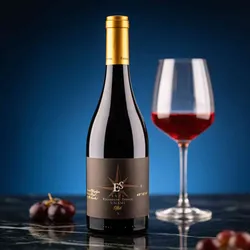 Weingut Ellermann-Spiegel 2021 Ellermann-Spiegel Rotweincuvée No Name 2021 Cabernet Sauvignon,Merlot,St. Laurent Deutschland