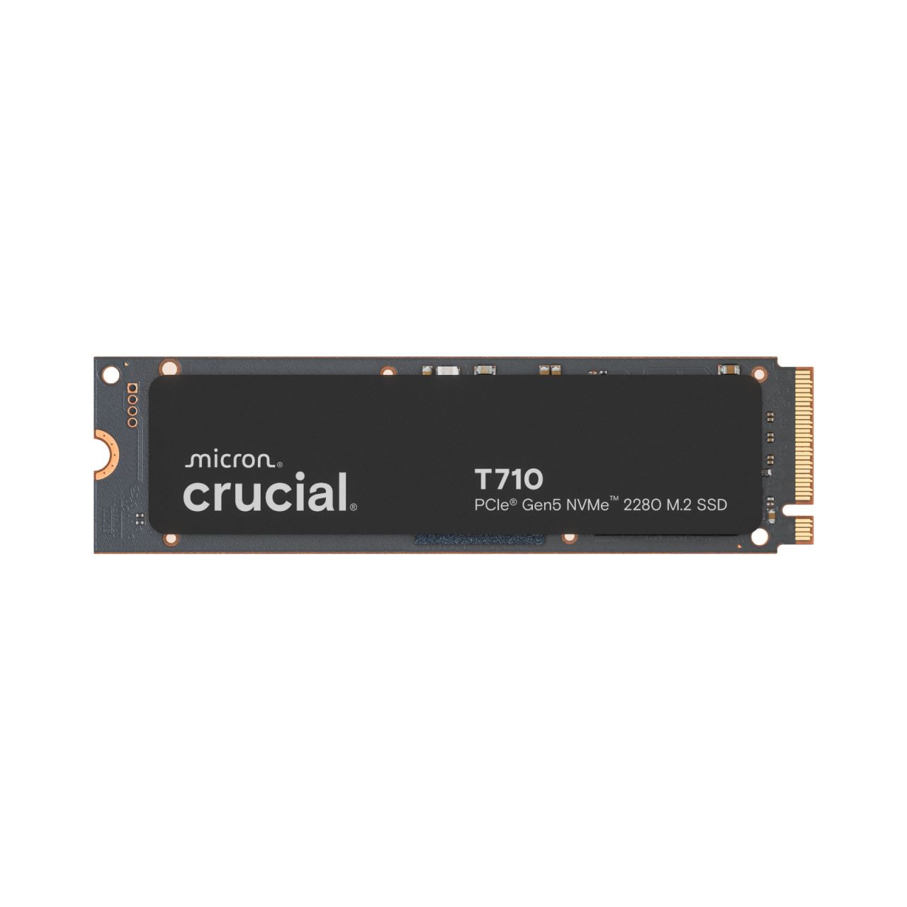 1TB Crucial T710 M.2 PCIe 5.0 x4 3D-NAND TLC (CT1000T710SSD8)