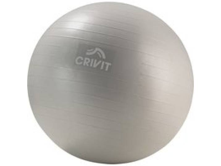 CRIVIT Plateau d’équilibre ou ballon de gymnastique ou bandes de fitness (ballon d'exercice souple 65cm)