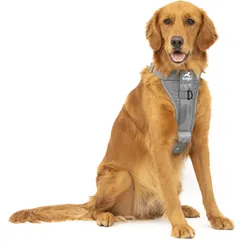 Kurgo Tru-Fit Autosicherheitsgeschirr für Hunde, Größe XL, Grau