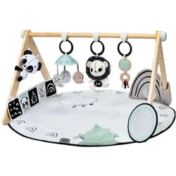 Tiny Love, Krabbeldecke + Spielbogen, Luxe Gymini