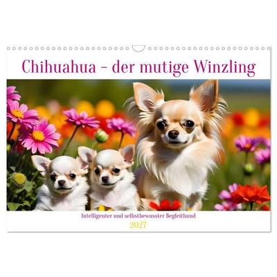 Chihuahua - der mutige Winzling (Wandkalender 2027 DIN A3 quer), CALVENDO Monatskalender