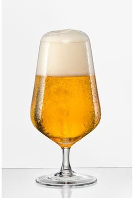 Red Vanilla Sandra Beer Glasses Set /6