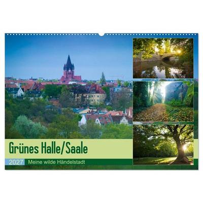 Grünes Halle/Saale - Meine wilde Händelstadt (Wandkalender 2027 DIN A2 quer), CALVENDO Monatskalender