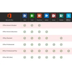 Microsoft Office 2021 Professional