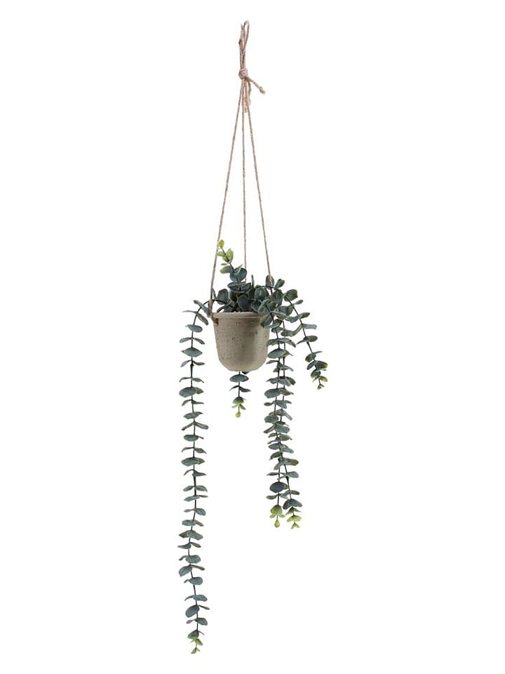 Ornami Kunstpflanze in Grün/ Beige - (L)68 cm - onesize