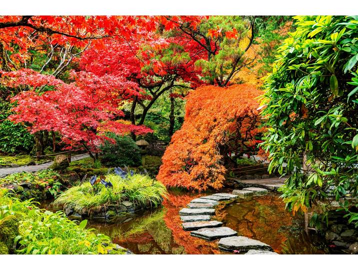 Fototapete PAPERMOON JAPANISCHER GARTEN-BLUMEN BÄUME SEE NATUR HERBST WALD , bunt, B:3,5m L:2,6m, Vlies, Tapeten, Fototapete