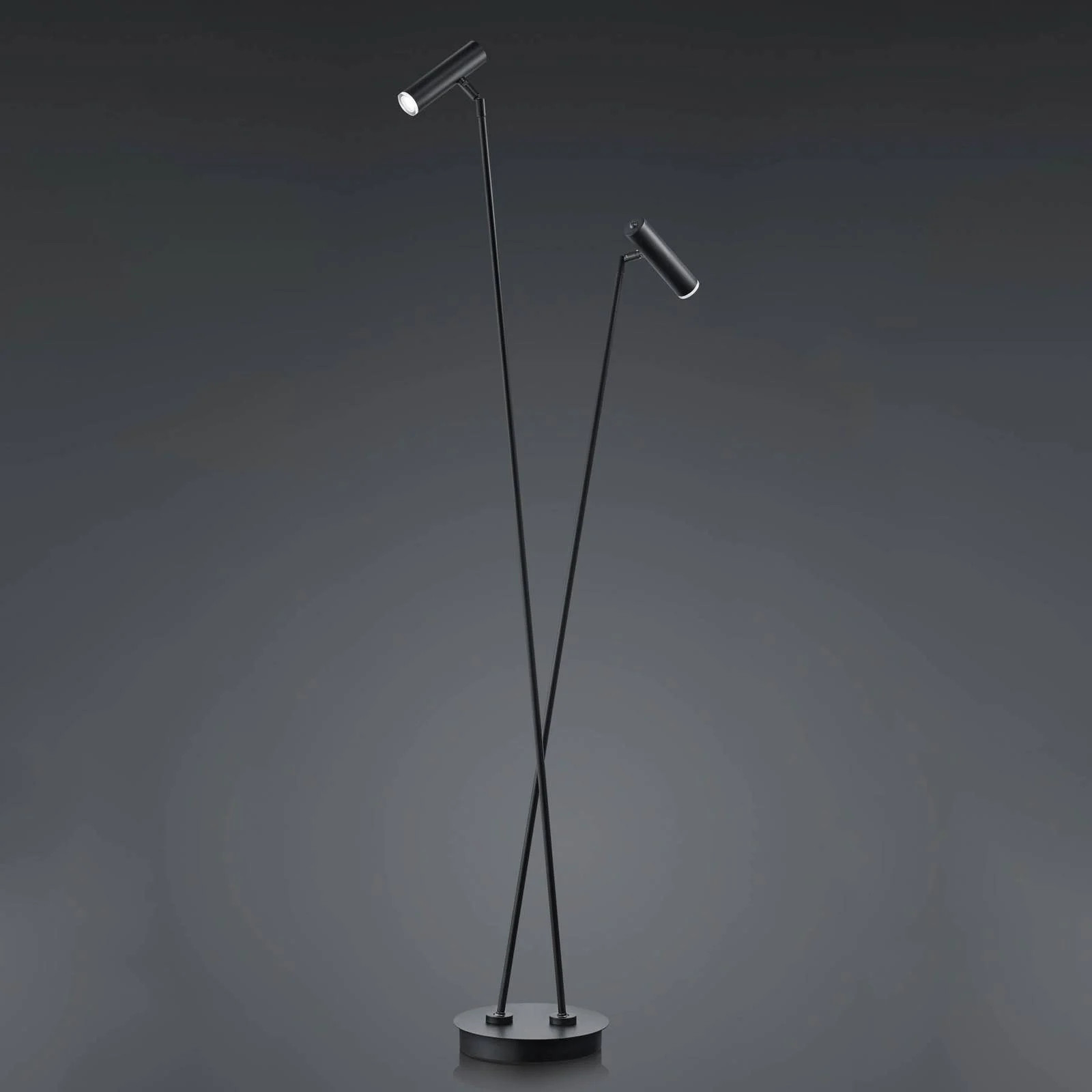 HELL LED-vloerlamp Tom, zwart, modern, dimbaar