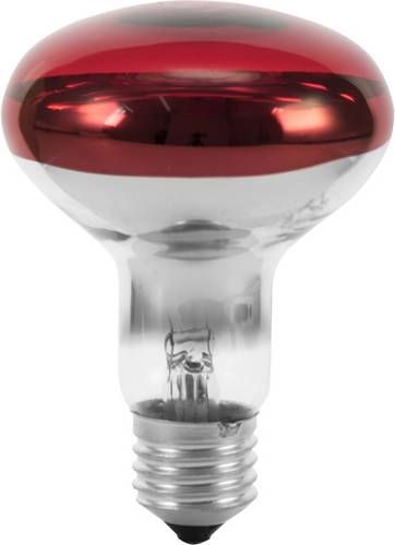 Eurolite 9210360U Glühlampe E27 Reflektor 60W Rot 1St.