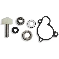 Vicma, Fahrzeug Werkzeug, tecnium 8430525080034 Wasserpumpe Reparatursatz für Majesty, X-Max, X-City, Versity 250