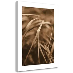 WANDBILD trockenes gras