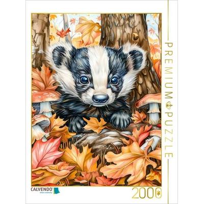 CALVENDO Puzzle Junger niedlicher Dachs im Wald zwischen Pilzen | 2000 Teile Lege-Größe 90x67cm Foto-Puzzle für glückliche Stunden